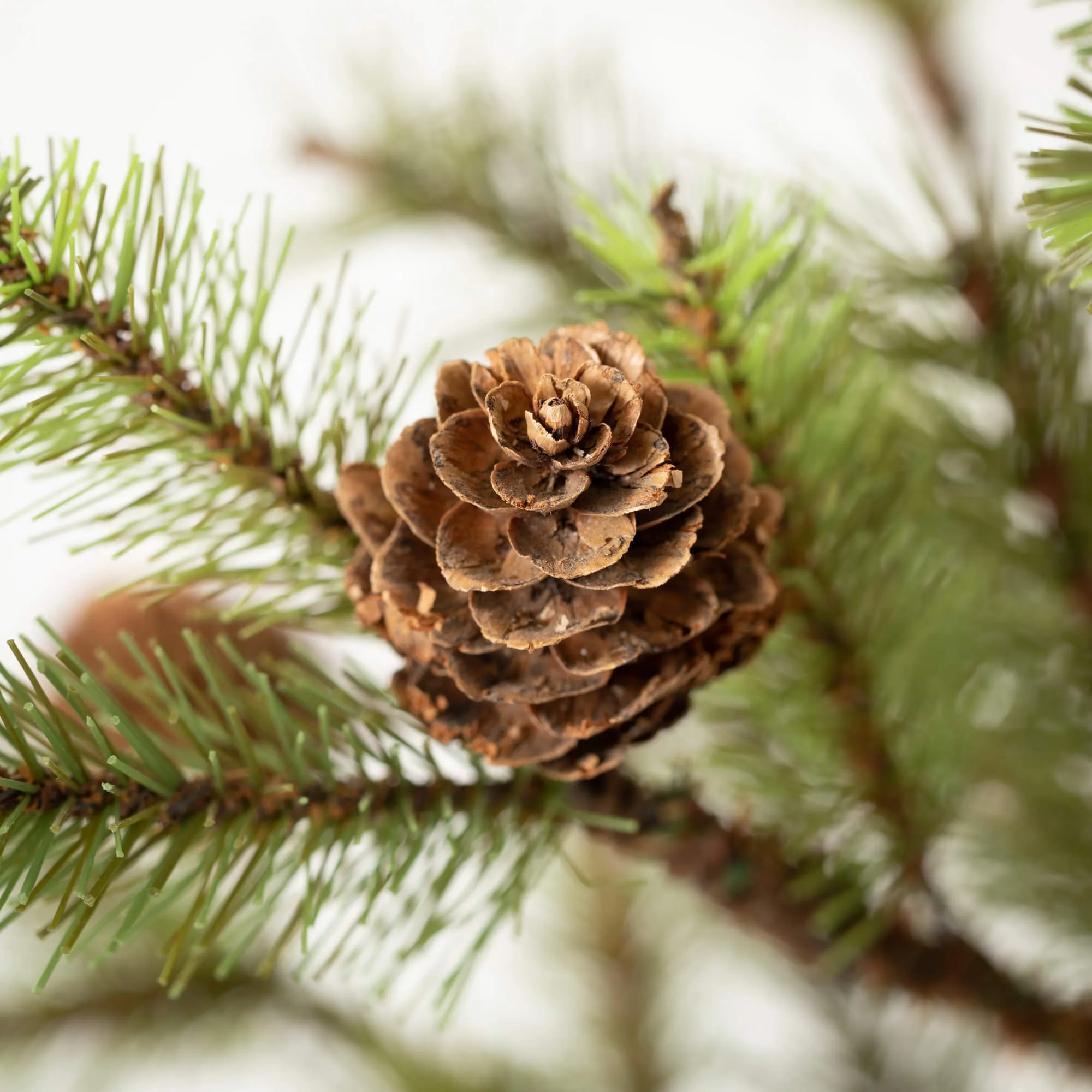 36"H Sullivans Large Pinecone Tree In Burlap, Green